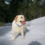 Mac in snow