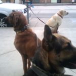 Mac with friends