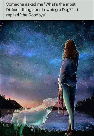 Woman with ghost of a dog
